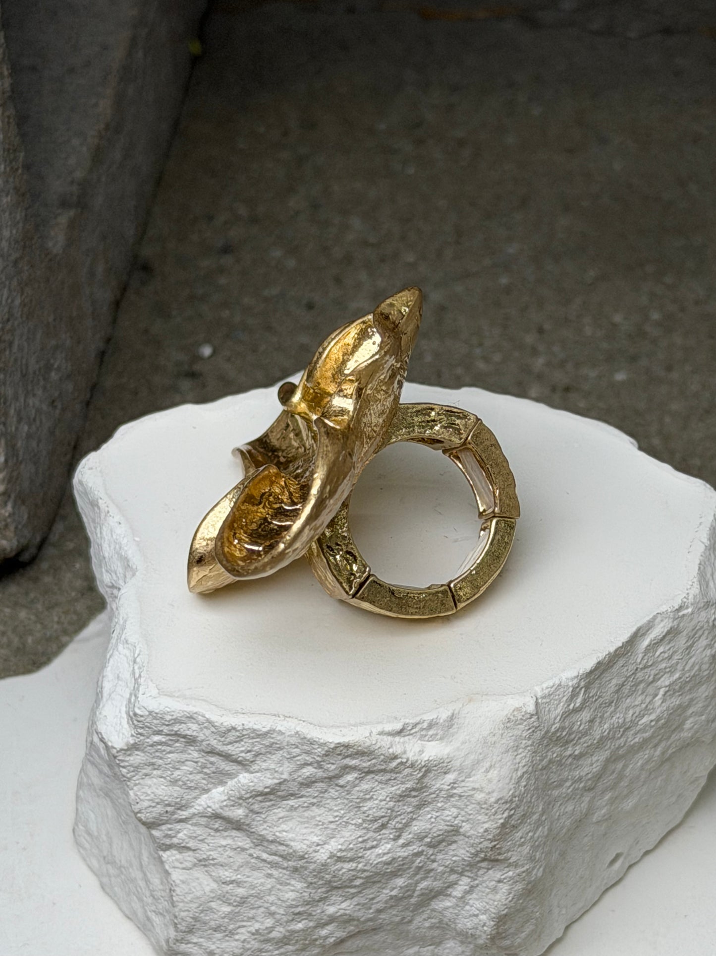 The Freeform Expandable Ring